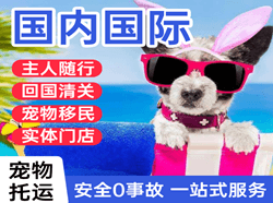 临沧博尚空运地址国际宠物托运 【国